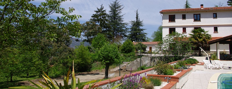 Homepage